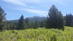 photo thumbnail #13