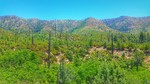 photo thumbnail #4