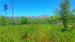 photo thumbnail #3