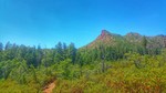 photo thumbnail #6