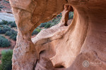 photo thumbnail #4