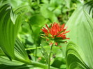 photo thumbnail #4