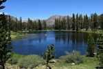 photo thumbnail #4