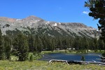 photo thumbnail #7