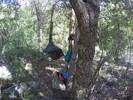 photo thumbnail #12
