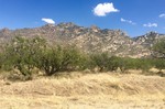 photo thumbnail #1