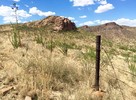 photo thumbnail #7