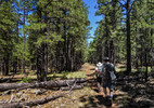photo thumbnail #9