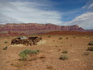 photo thumbnail #3