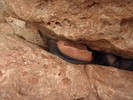 photo thumbnail #11