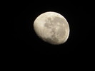 photo thumbnail #10