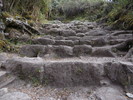 photo thumbnail #14