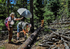 photo thumbnail #7
