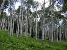 photo thumbnail #11