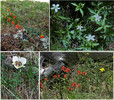 photo thumbnail #14