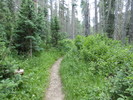 photo thumbnail #1