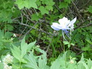 photo thumbnail #3