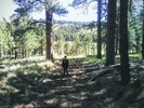 photo thumbnail #1
