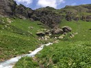 photo thumbnail #6