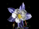photo thumbnail #13