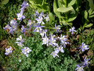 photo thumbnail #15