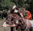 photo thumbnail #8
