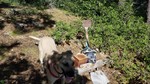 photo thumbnail #7