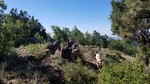 photo thumbnail #9