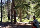 photo thumbnail #3