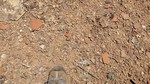 photo thumbnail #4