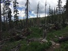 photo thumbnail #8