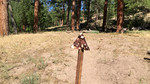 photo thumbnail #3