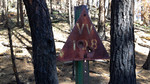 photo thumbnail #14
