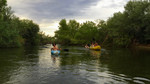 photo thumbnail #10