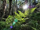 photo thumbnail #14