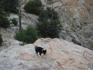 photo thumbnail #5