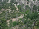 photo thumbnail #10