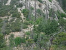 photo thumbnail #11