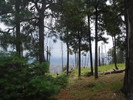 photo thumbnail #15
