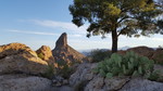 photo thumbnail #5