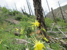 photo thumbnail #3