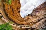 photo thumbnail #5