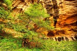 photo thumbnail #6