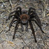 photo thumbnail #6
