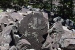 photo thumbnail #10
