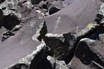 photo thumbnail #12