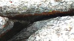photo thumbnail #14