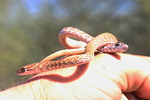 photo thumbnail #3