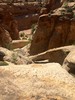 photo thumbnail #12