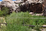 photo thumbnail #12